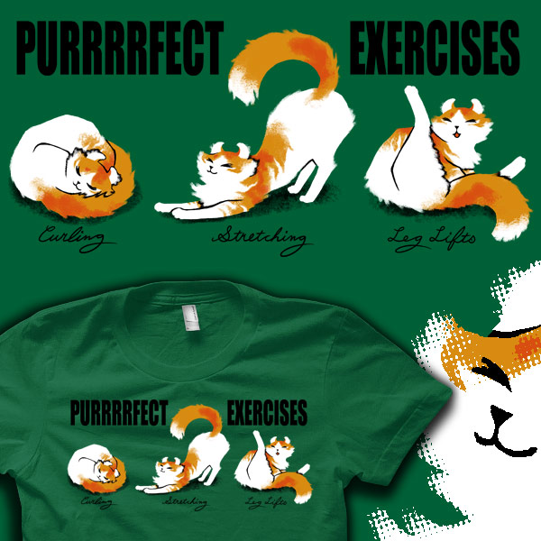 Purrfect Exercises - ON SALE NOW