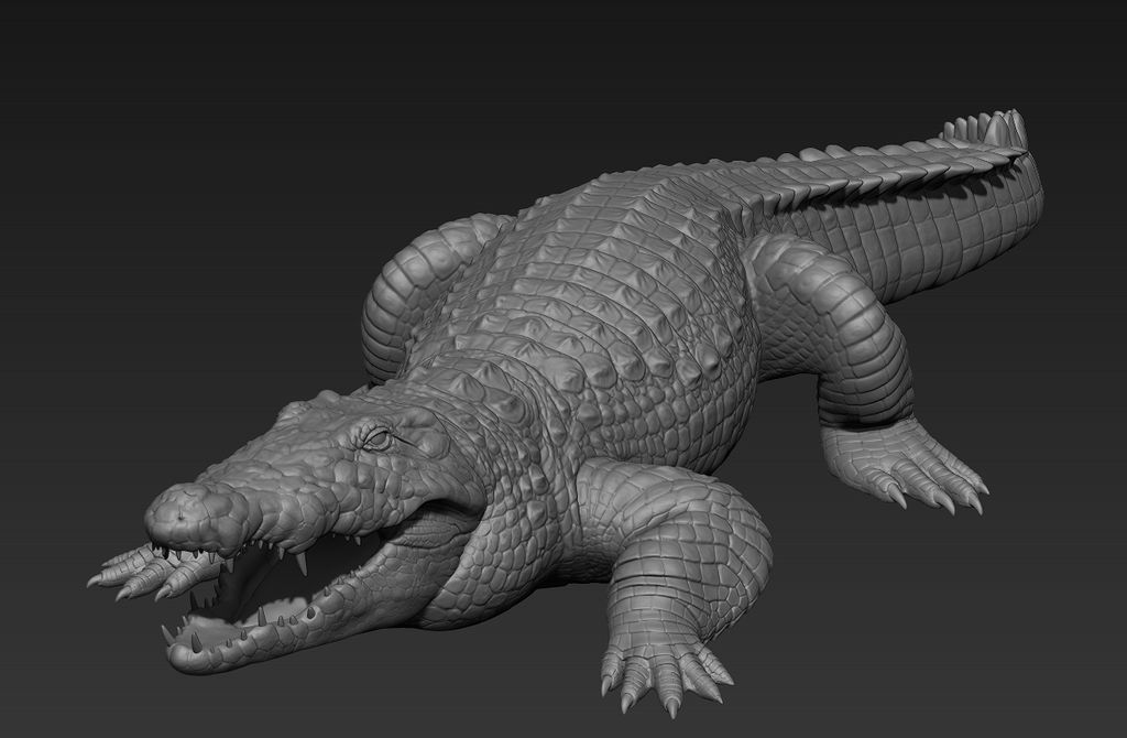 Nile Crocodile study