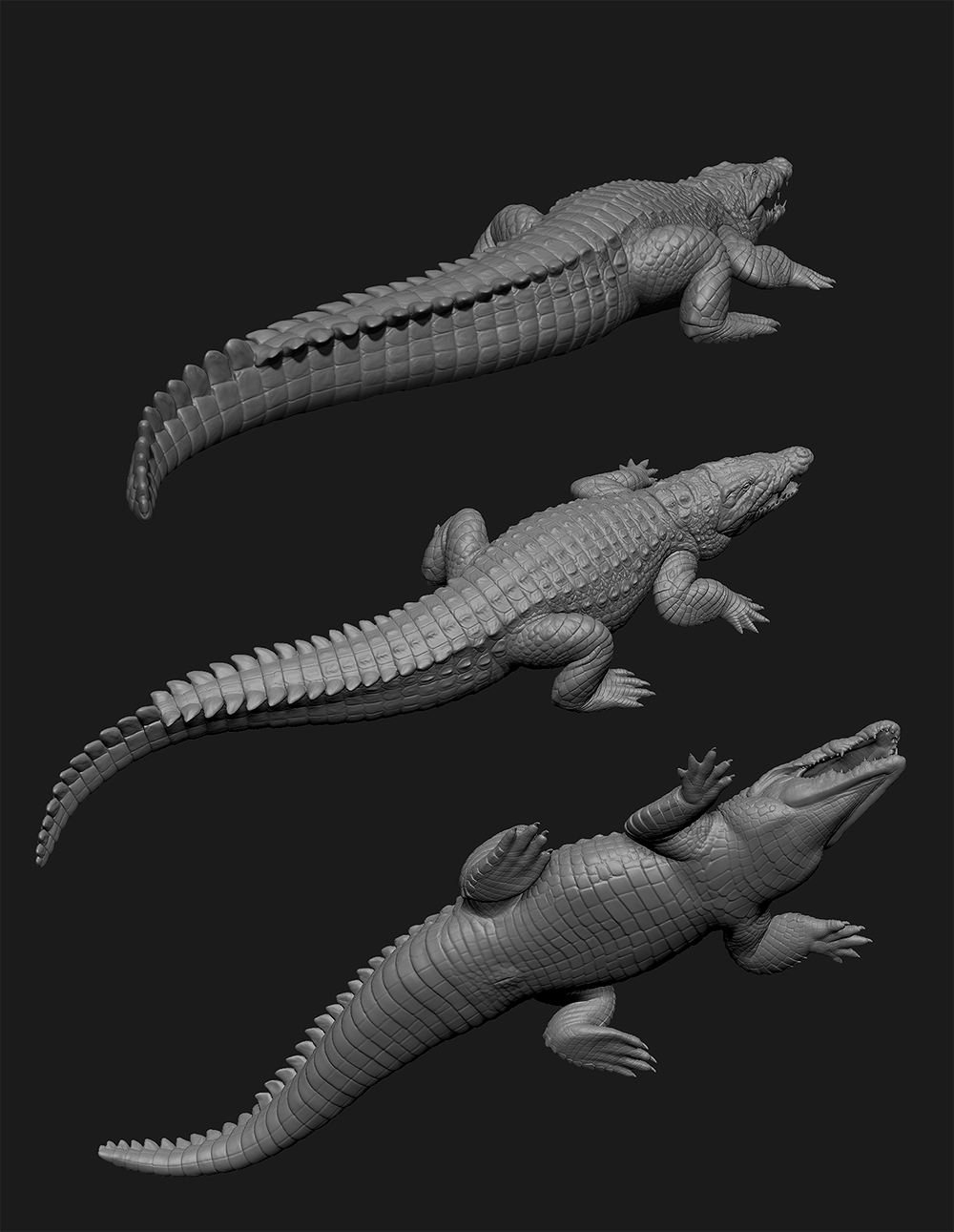 Nile Crocodile study 2