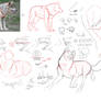 How I draw wolves Basics