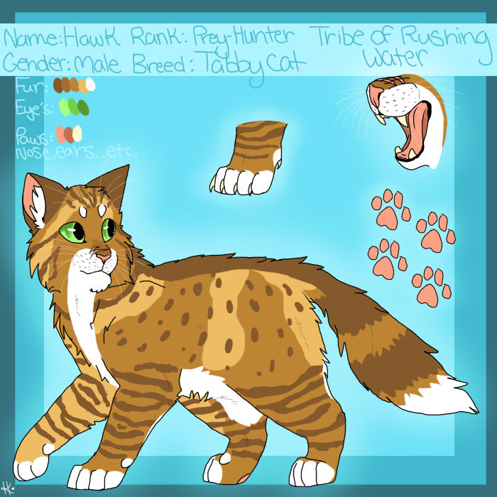 Hawk Ref Base Hawk Reference Sheet by yourbaerito on DeviantArt