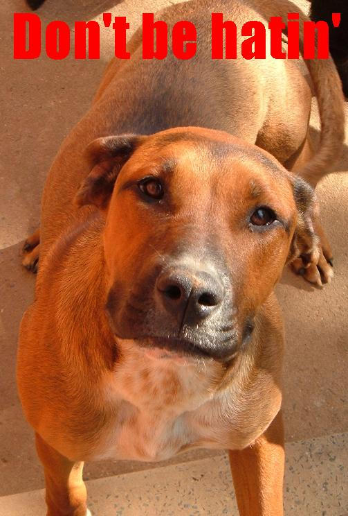 Don't be hatin' by OfficiallyAbi on DeviantArt