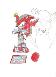 Zero The Hedgehog