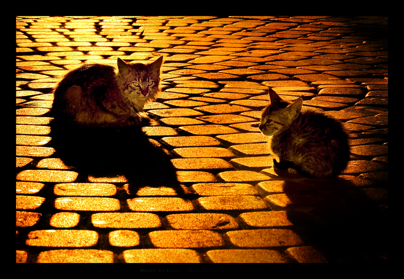 More Or Less... HomeLess by gilad