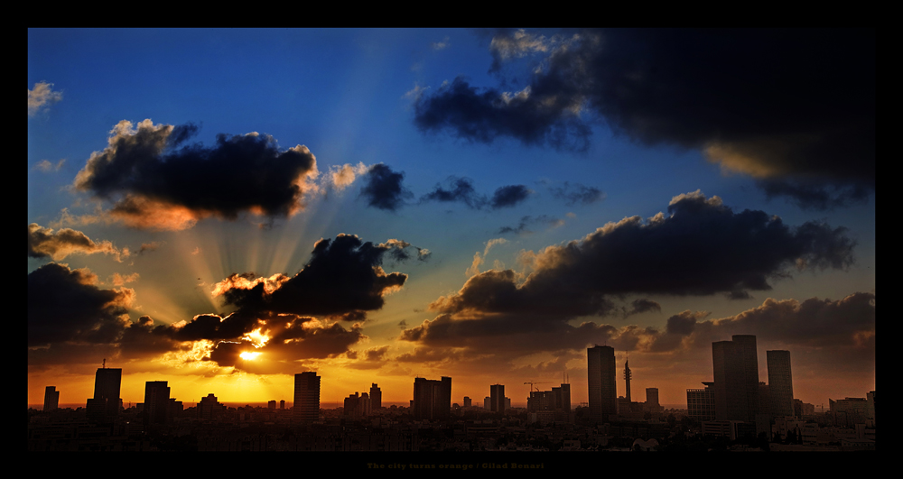 The city turns Orange by gilad