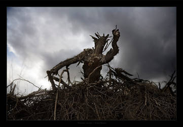 Woodoo Master by gilad