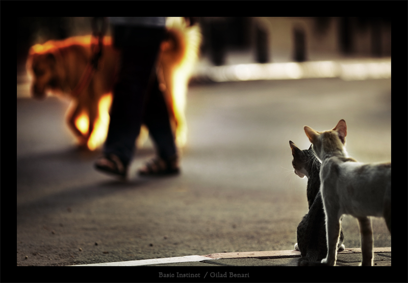 Basic Instinct by gilad