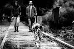 Life in Black and White by gilad