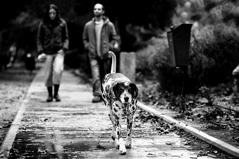 Life in Black and White