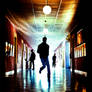 The Matrix effect