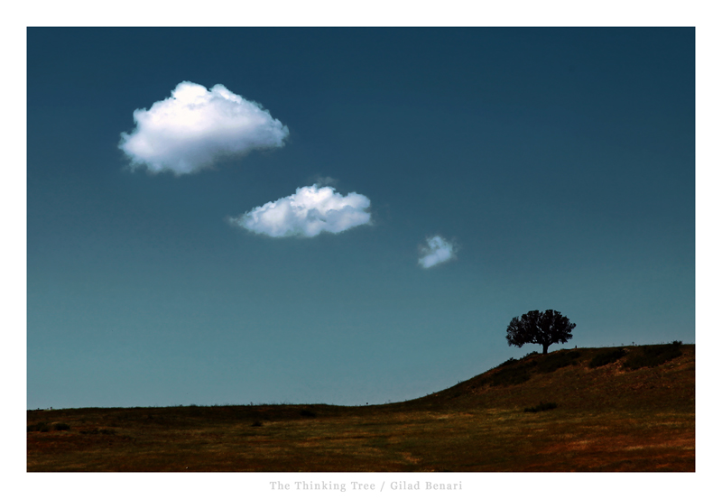 The Thinking Tree by gilad