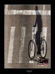 Crossing by gilad