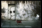 Peeking eyes by gilad
