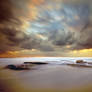 From the steamy seas