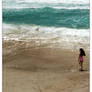 Along the shore