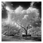 A PLACE TO DREAM by gilad