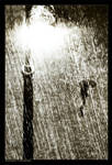 Hard rain by gilad