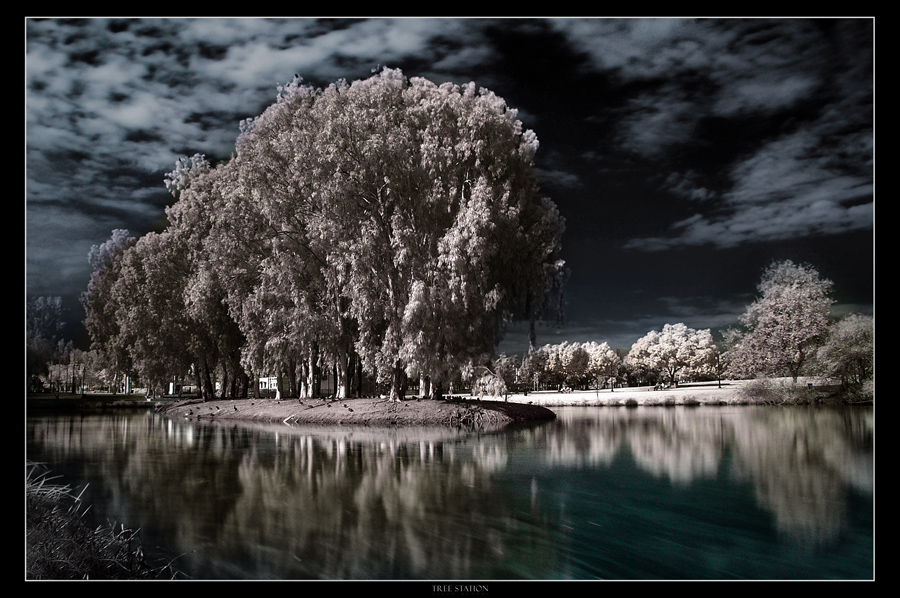 Tree Station by gilad