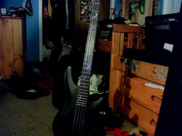 new bass