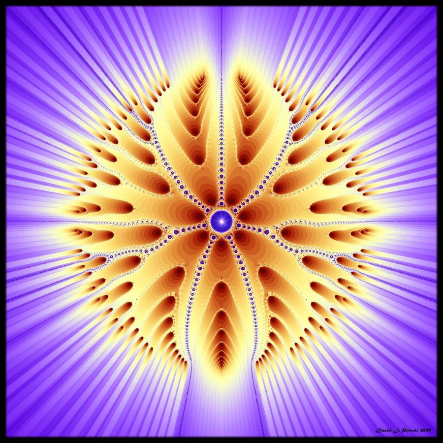 Light of the Seraphim
