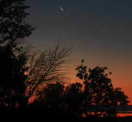 The Sun, Luna, and Venus 