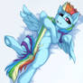 Fluffy Rainbow Dash