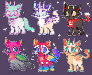 cat adopts OPEN!!