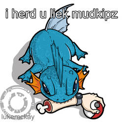 mudkip