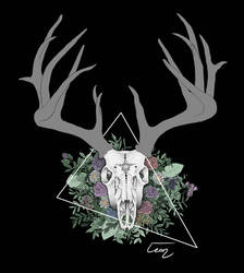 Deerskull