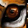 Tiger's Eye - Icon