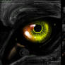 Ruwrak's Eye - Icon