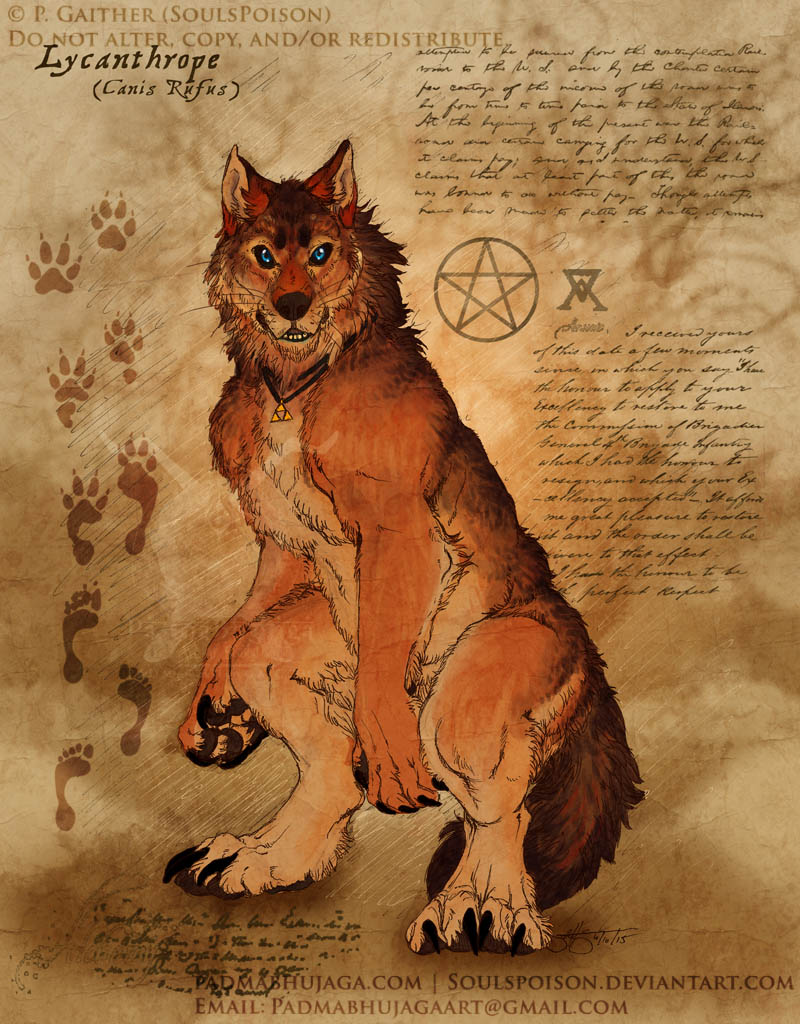 The Red Wolf