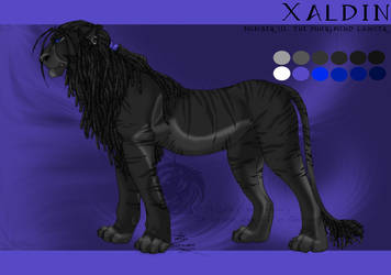 Xaldin - Pride XIII design