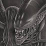 'Alien' graphite drawing
