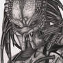 'Predator' graphite drawing