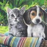 PUPPY AND KITTEN COLOUR PENCIL DRAWING