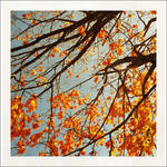 autumn by ullako