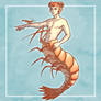 Mermay #17 Crustacean