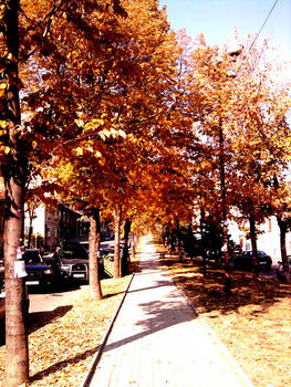 Autumn in Bulgaria