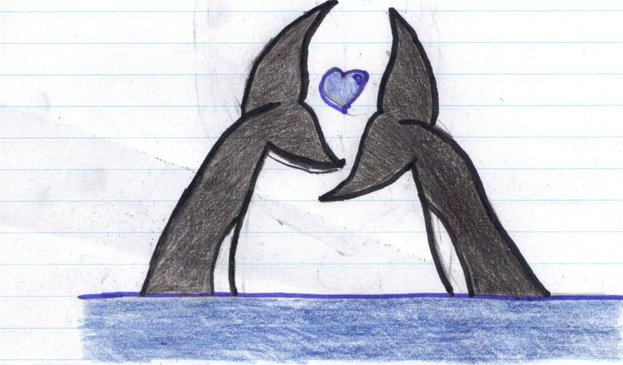 Orca Love by organizationXIIIfan1 on DeviantArt