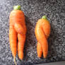 mr and mrs carrott