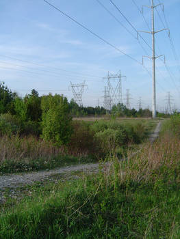 Hydro Field Pathway