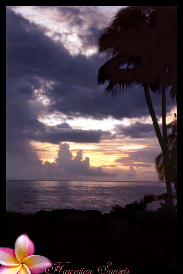 Hawaiian Sunsets 2002