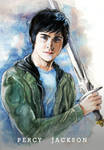Percy Jackson by pauldng