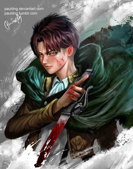 Attack on Titan - Levi Ackerman