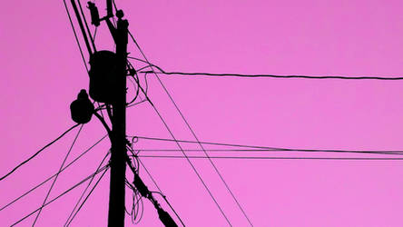 Pink Sky and Powerlines