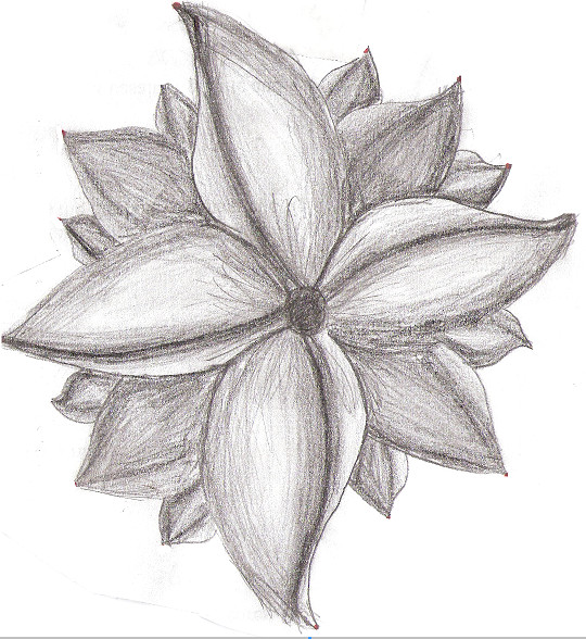 Flower Pencil Art