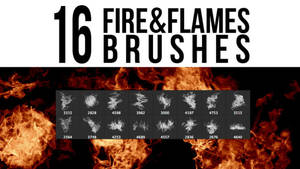 16 Fire + Flames Brushes