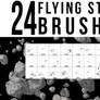 24 Flying Stone Brushes
