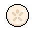 Sand dollar